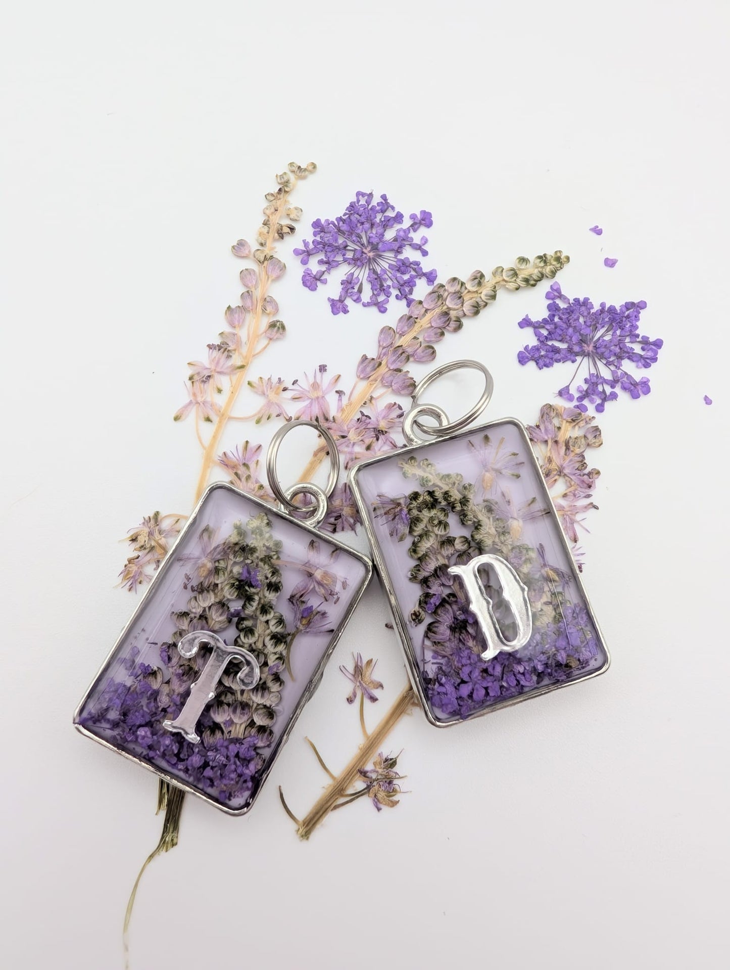 Lavender Fields