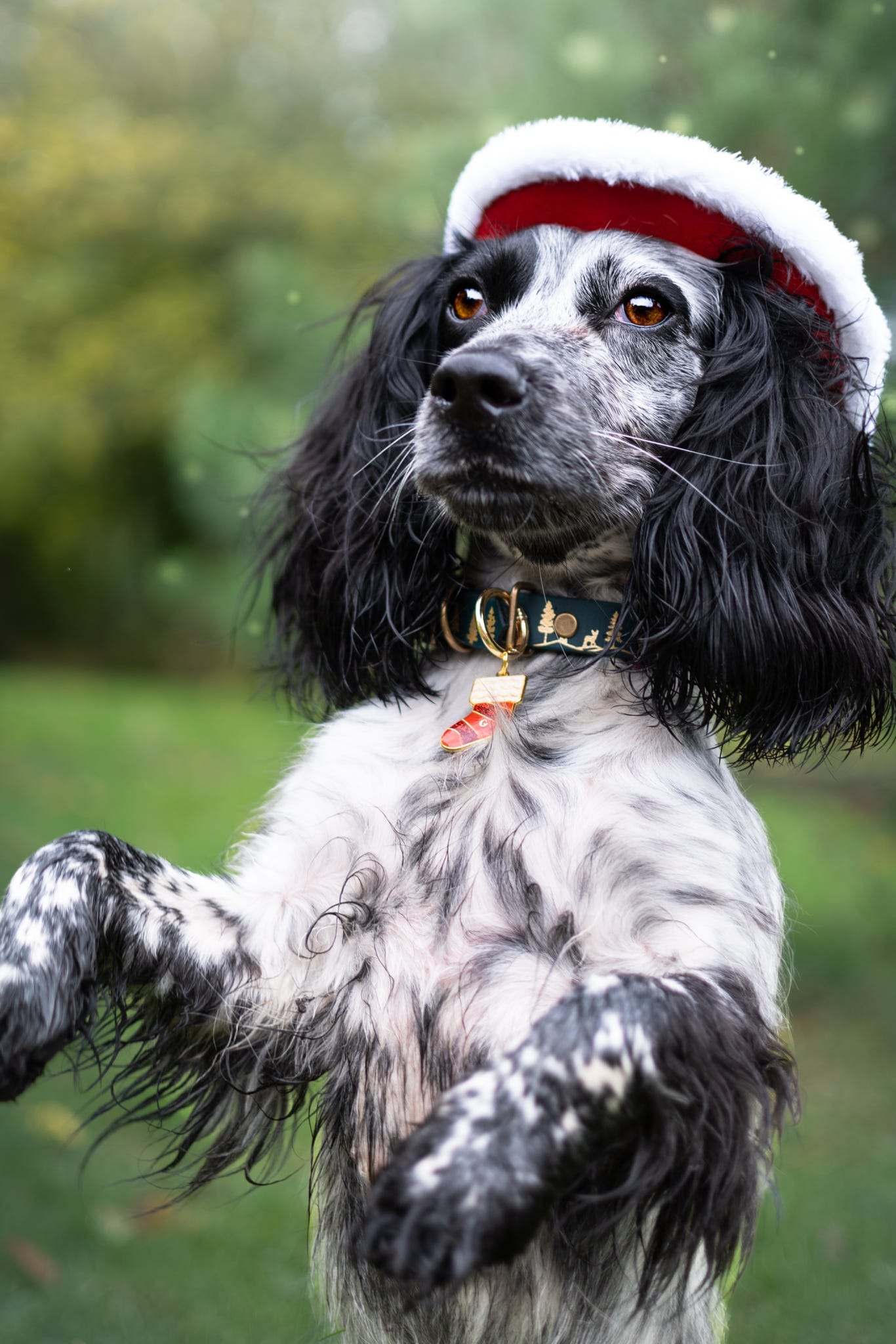 Santa's Little Stocking