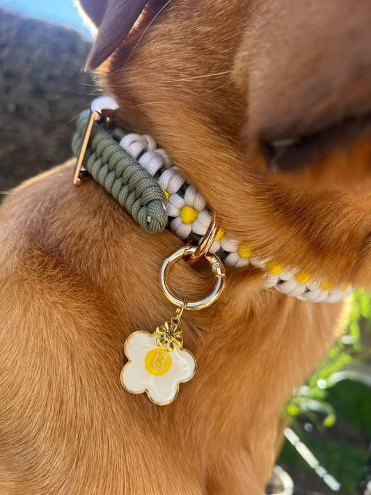 Daisy Chain