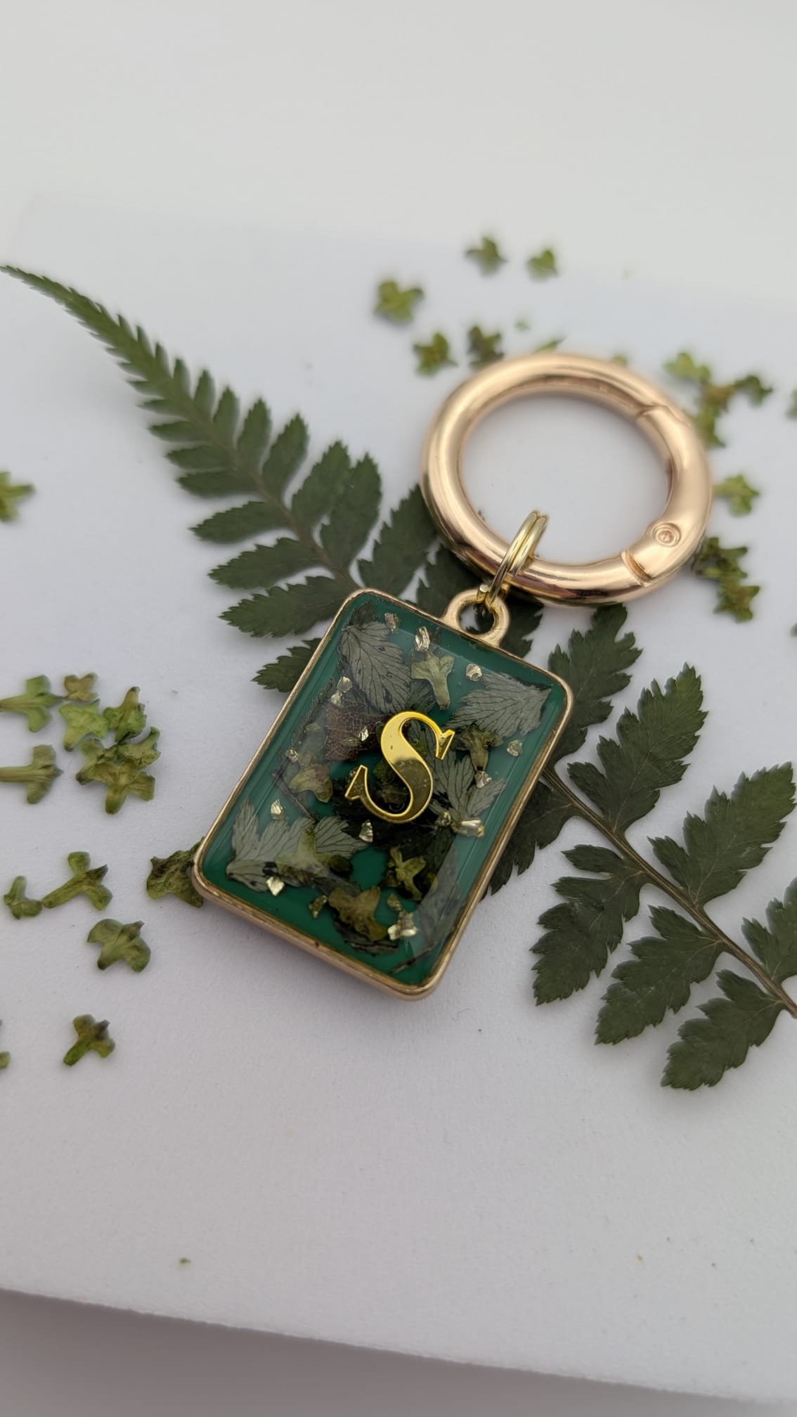 Tag Fern Fern – Solabulous Pet Tags
