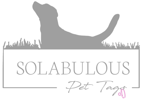 Solabulous Pet Tags