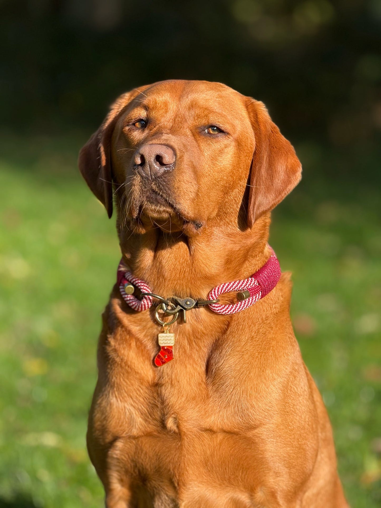 Santa's Little Stocking