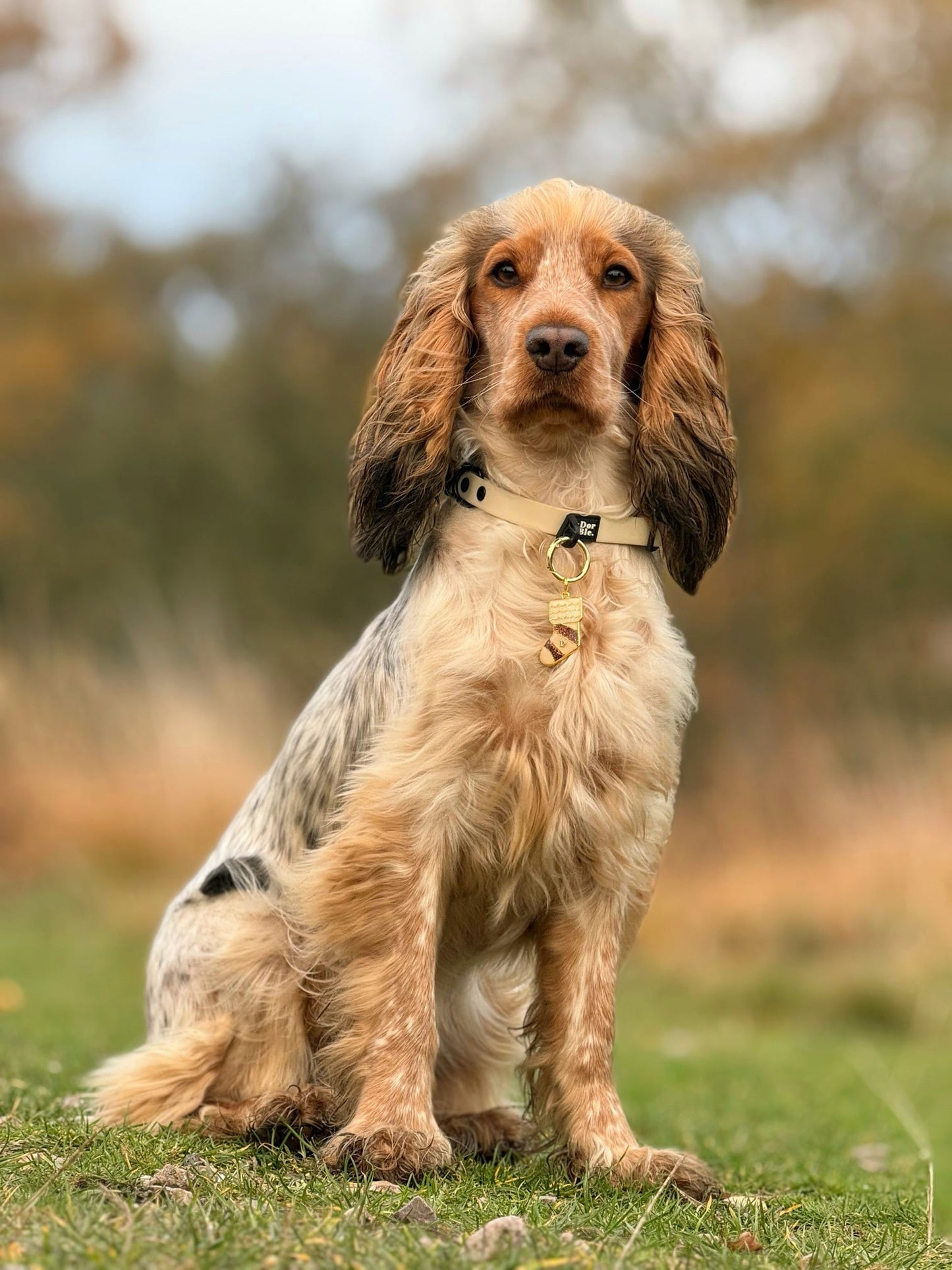 Santa's Little Stocking