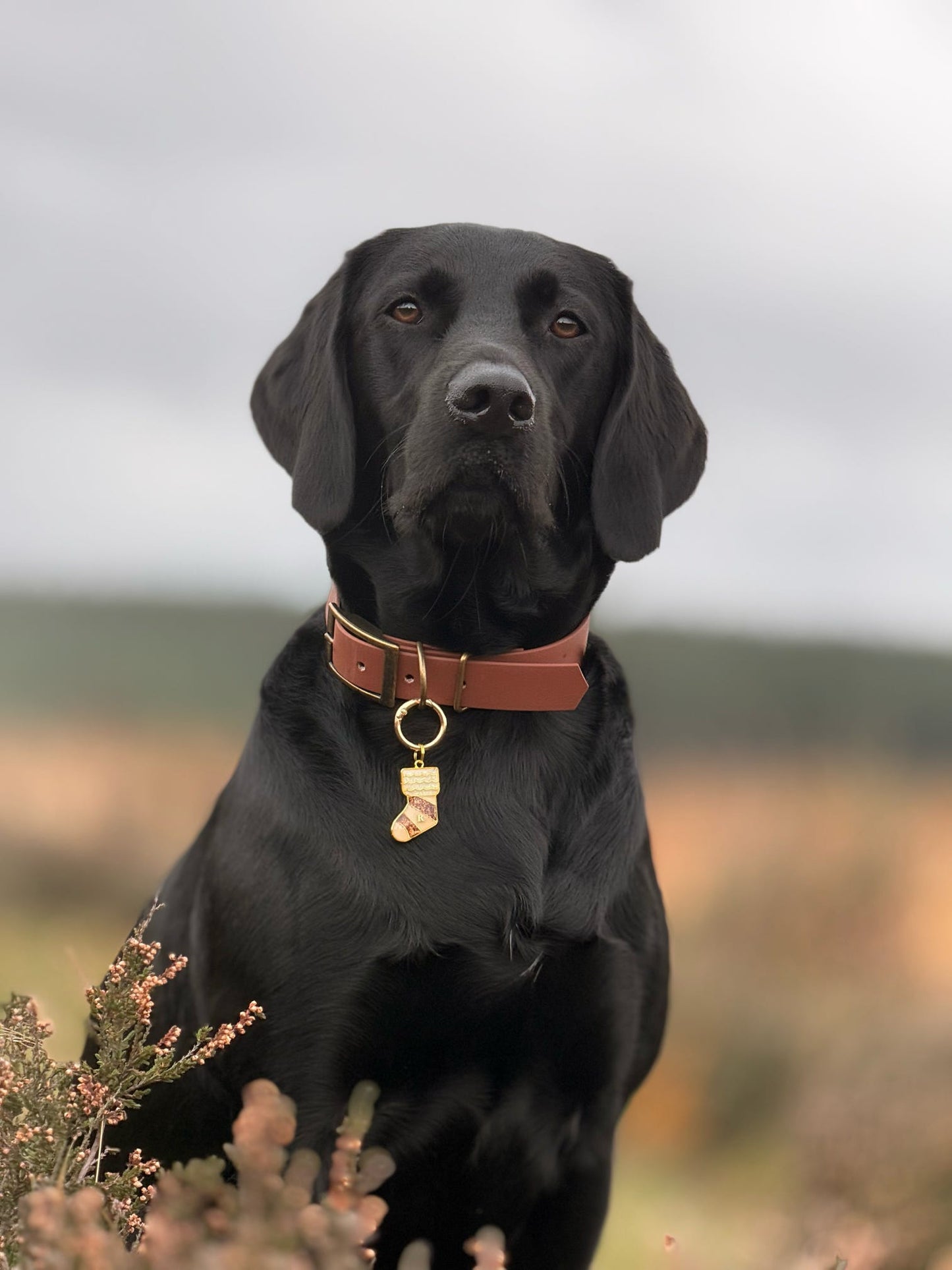 Santa's Little Stocking