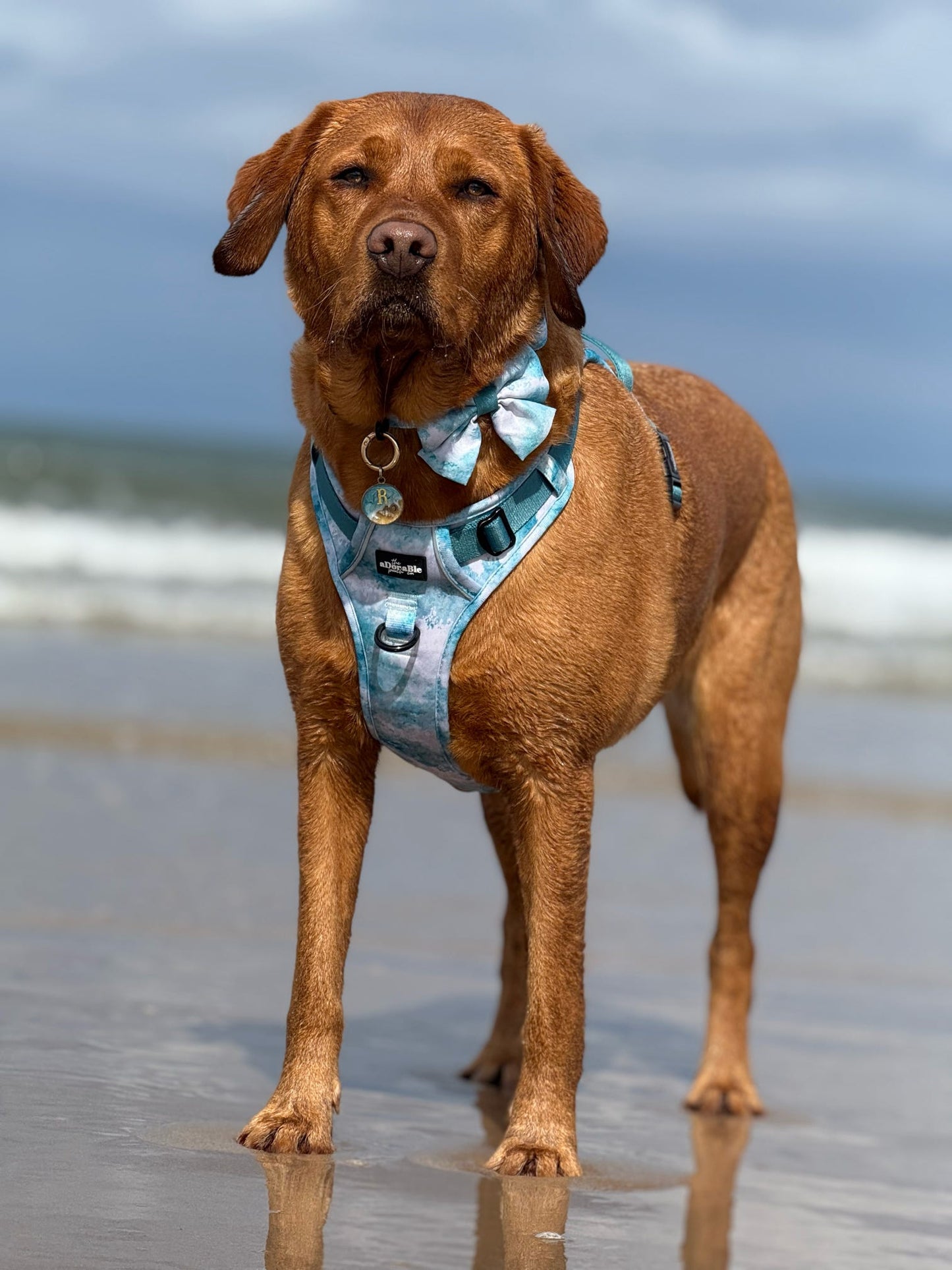 Beach Days