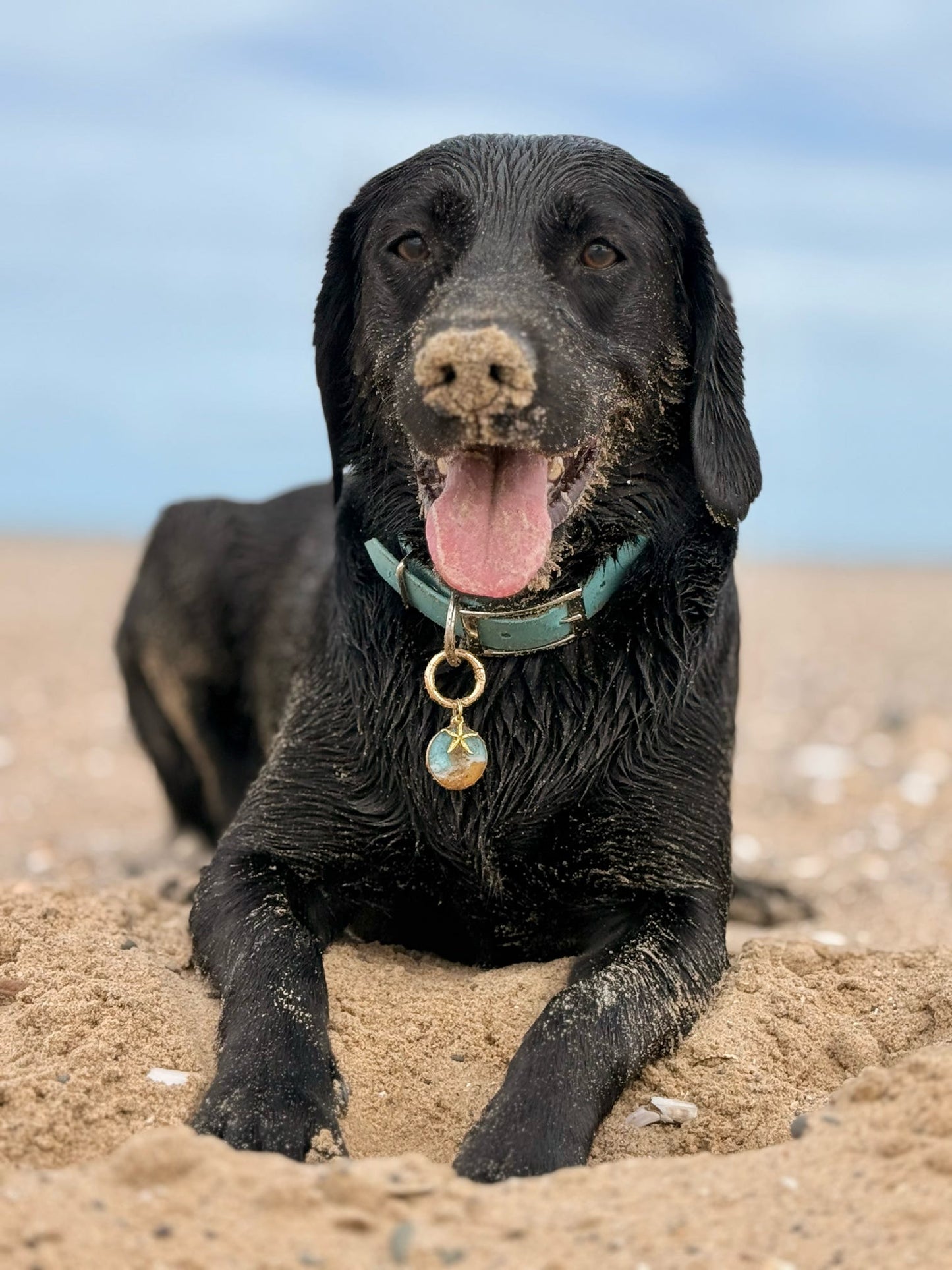 Beach Days