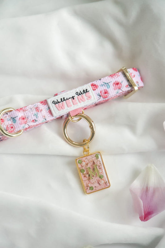 Rose Reverie